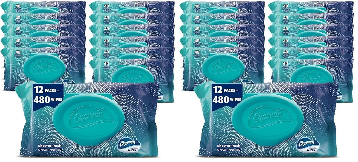 Charmin Flushable Wipes, 40 Count (Pack of 24)