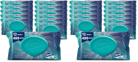 Charmin Flushable Wipes, 40 Count (Pack of 24)