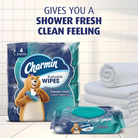Charmin Flushable Wipes, 40 Count (Pack of 24)
